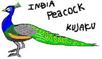 BIRD0843.PCX