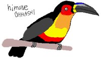 BIRD0842.PCX