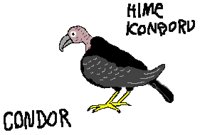 BIRD0841.PCX