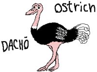 BIRD0839.PCX