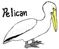 BIRD0836.PCX