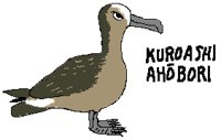 BIRD0821.PCX