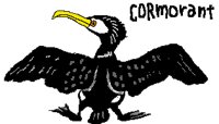 BIRD0820.PCX