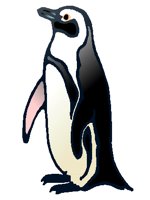 BIRD0809.PCX