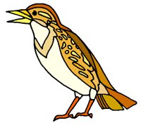 BIRD0806.PCX
