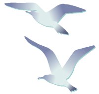 BIRD0804.PCX