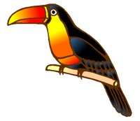 BIRD0803.PCX
