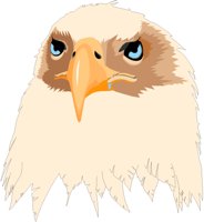 0017EAGL.PCX