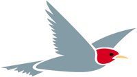0007BIRD.PCX