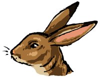 BUNNY11.PCX
