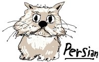 ANI08073.PCX