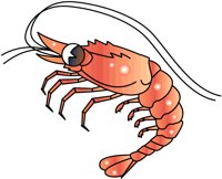 SHRIMP1.PCX
