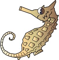 SEAHORSE.PCX