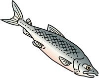 FISH11.PCX