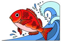 FISH0815.PCX