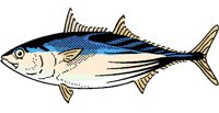 FISH0813.PCX