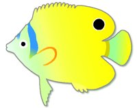 FISH0804.PCX