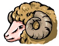 SHEEP3.PCX