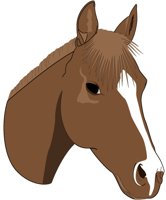 HORSE01.PCX