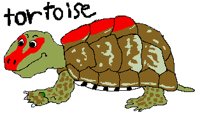 TURTLE1.PCX
