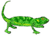 NEWT1.PCX