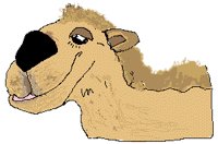 CAMEL1.PCX