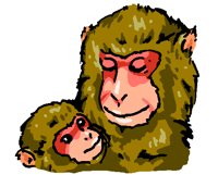 MONKEY14.PCX