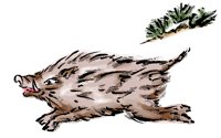 PIG12.PCX
