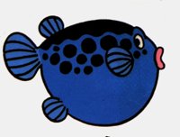 fish_n.pcx