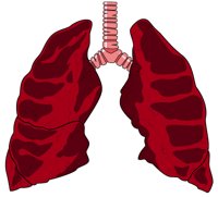 0032LUNG.PCX