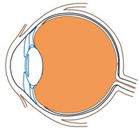 0002EYEC.PCX