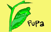 PUPA01.PCX