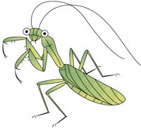 MANTIS.PCX