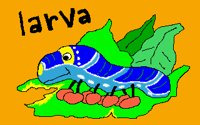 LARVA01.PCX