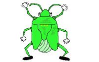 INSECT19.PCX