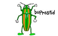 INSECT17.PCX