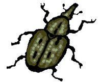 INSECT12.PCX