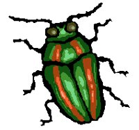 INSECT10.PCX