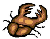 INSECT09.PCX