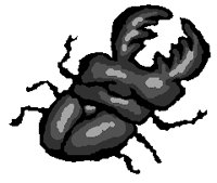 INSECT08.PCX