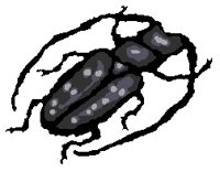 INSECT07.PCX