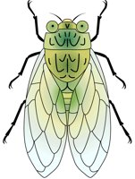 INSECT03.PCX