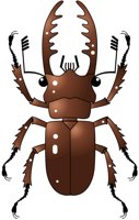 INSECT02.PCX