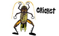 CRICKE~2.PCX