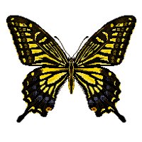 BUTRFLY2.PCX
