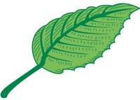 0031LEAF.PCX