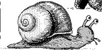 SNAIL.PCX