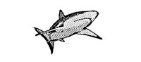 JAWS.PCX