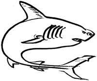 FISH0066.PCX