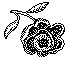 ROSE1.PCX